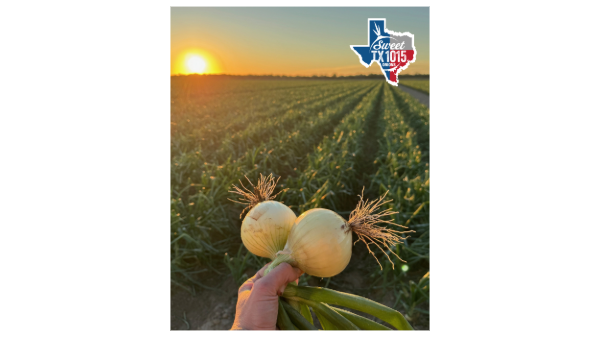 Texas Sweet Onion Day celebrates the legacy behind the original Sweet Onion 