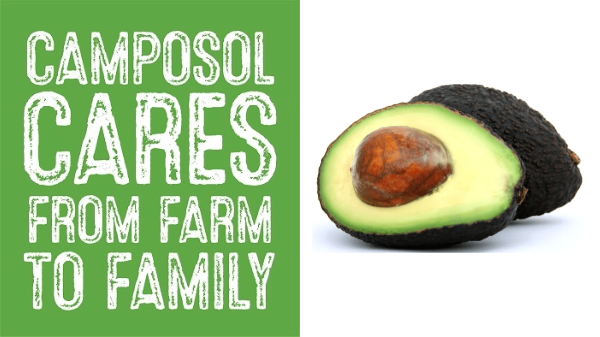 Camposol expands avocado sourcing with investment in Mexico