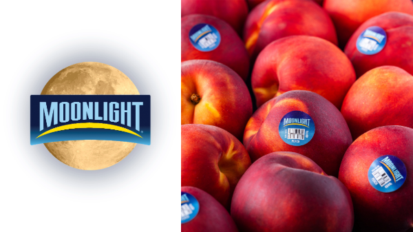 Moonlight promotes encore of late-season peaches