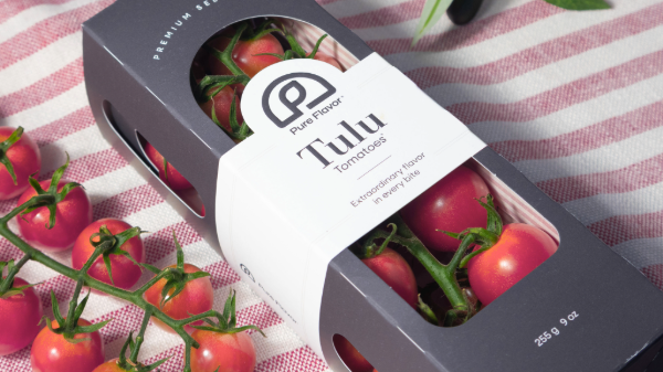 Pure Flavor introduces Tulu cherry tomatoes